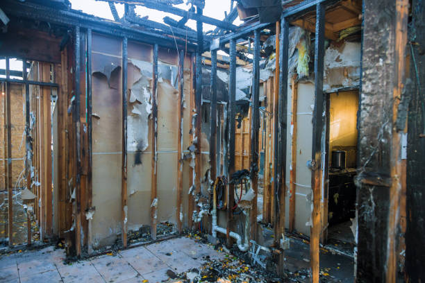 Professional Odor Removal technician working in Roberta, GA